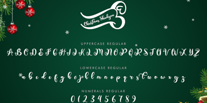 Christmas Shadyna Font Poster 7