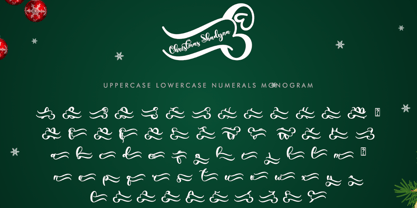 Christmas Shadyna Font Poster 6