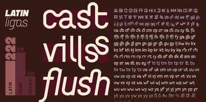 ZF Base Sans Pro Font Poster 10