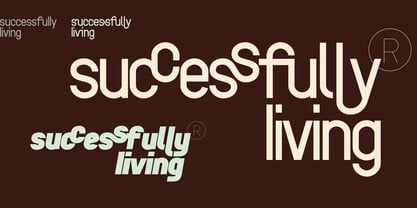 ZF Base Sans Pro Font Poster 9