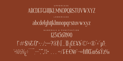 Nerhole Font Poster 7