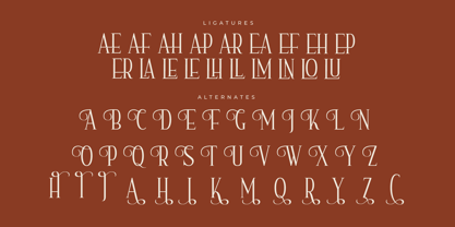 Nerhole Font Poster 8