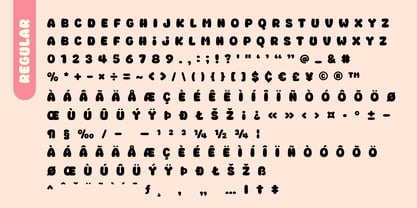 Fox Starry Outline Font Poster 9