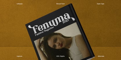 Rinasel Font Poster 3