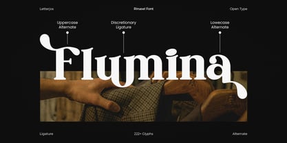 Rinasel Font Poster 2