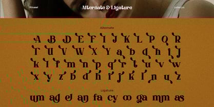 Rinasel Font Poster 7