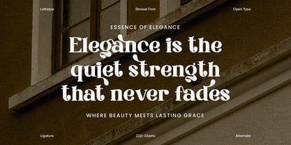 Rinasel Font Poster 6