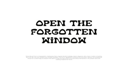 Moire Burny Font Poster 6