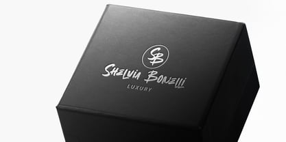 Theory Display Font Poster 2