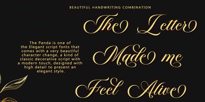 Panden Font Poster 2