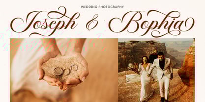 Panden Font Poster 7