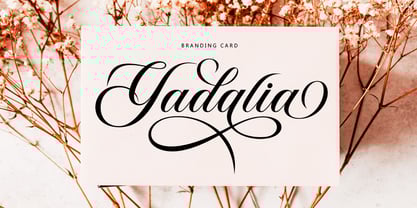 Panden Font Poster 8