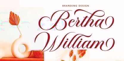 Panden Font Poster 6