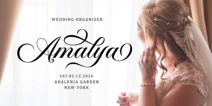 Panden Font Poster 5