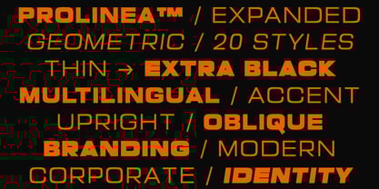 Prolinea Font Poster 14