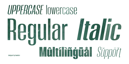 Moleda Font Poster 2