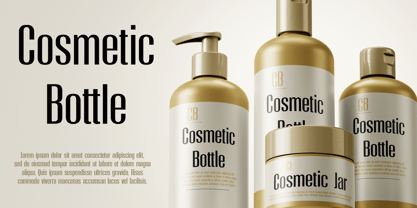 Moleda Font Poster 7