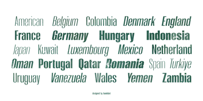 Moleda Font Poster 5