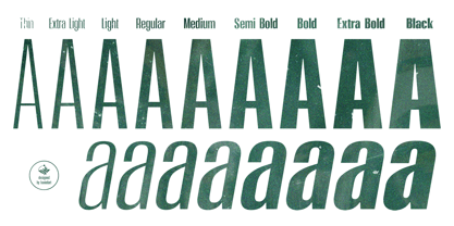 Moleda Font Poster 3