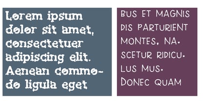 ZP Moth Morbidity Font Poster 5