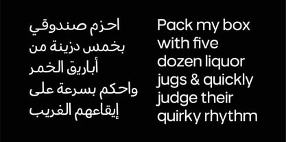True Arabic Font Poster 3