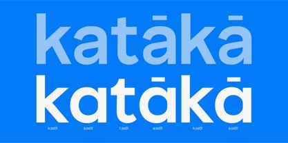 True Arabic Font Poster 5