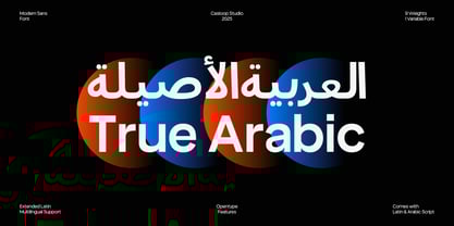 True Arabic Font Poster 1