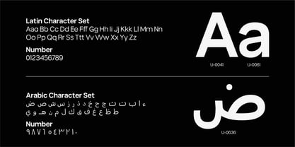 True Arabic Font Poster 8