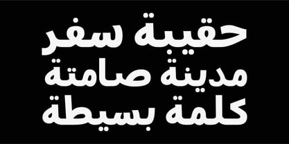 True Arabic Font Poster 7