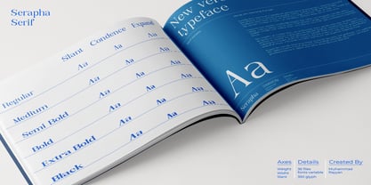 Serapha Serif Font Poster 4