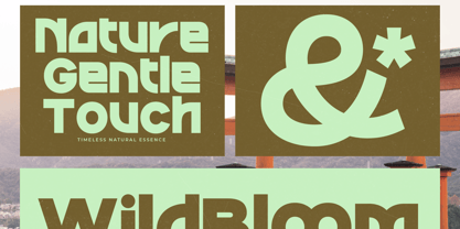 Sound Groove Font Poster 9