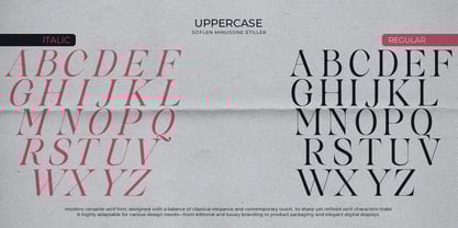 Softlen Minusone Stiller Font Poster 10