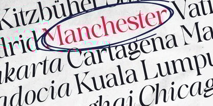 Softlen Minusone Stiller Font Poster 13