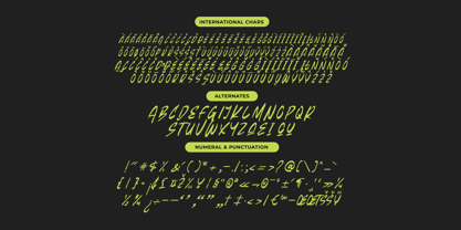 Beasty Strength Font Poster 13