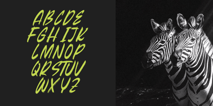 Beasty Strength Font Poster 9