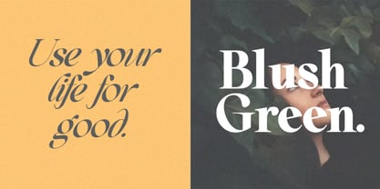 Comethrue Font Poster 6