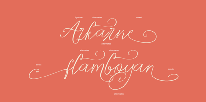 Fd Emeta Font Poster 8