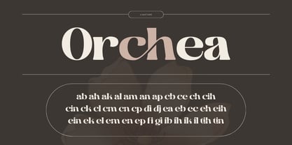 Martina Retro Font Poster 2