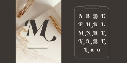Martina Retro Font Poster 4