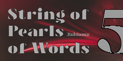 Nobleweight Font Poster 5