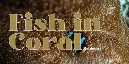 Nobleweight Font Poster 4