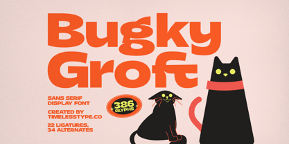 Bugky Groft Font Poster 1