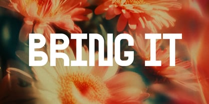 Libertat Font Poster 3