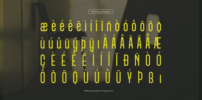Ridjames Font Poster 11