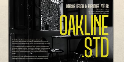 Ridjames Font Poster 4
