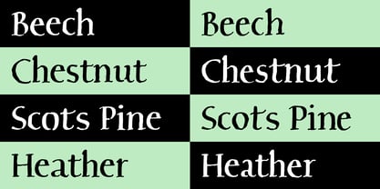 Perrywood Script Font Poster 8