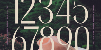 Medish Font Poster 13