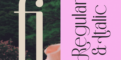 Medish Font Poster 3