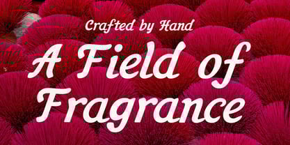 YJC Dear Dotty Font Poster 9