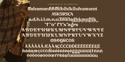 Rustic Cuntry Font Poster 14